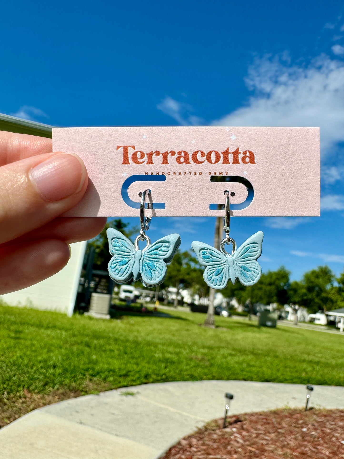 Blue Butterflies